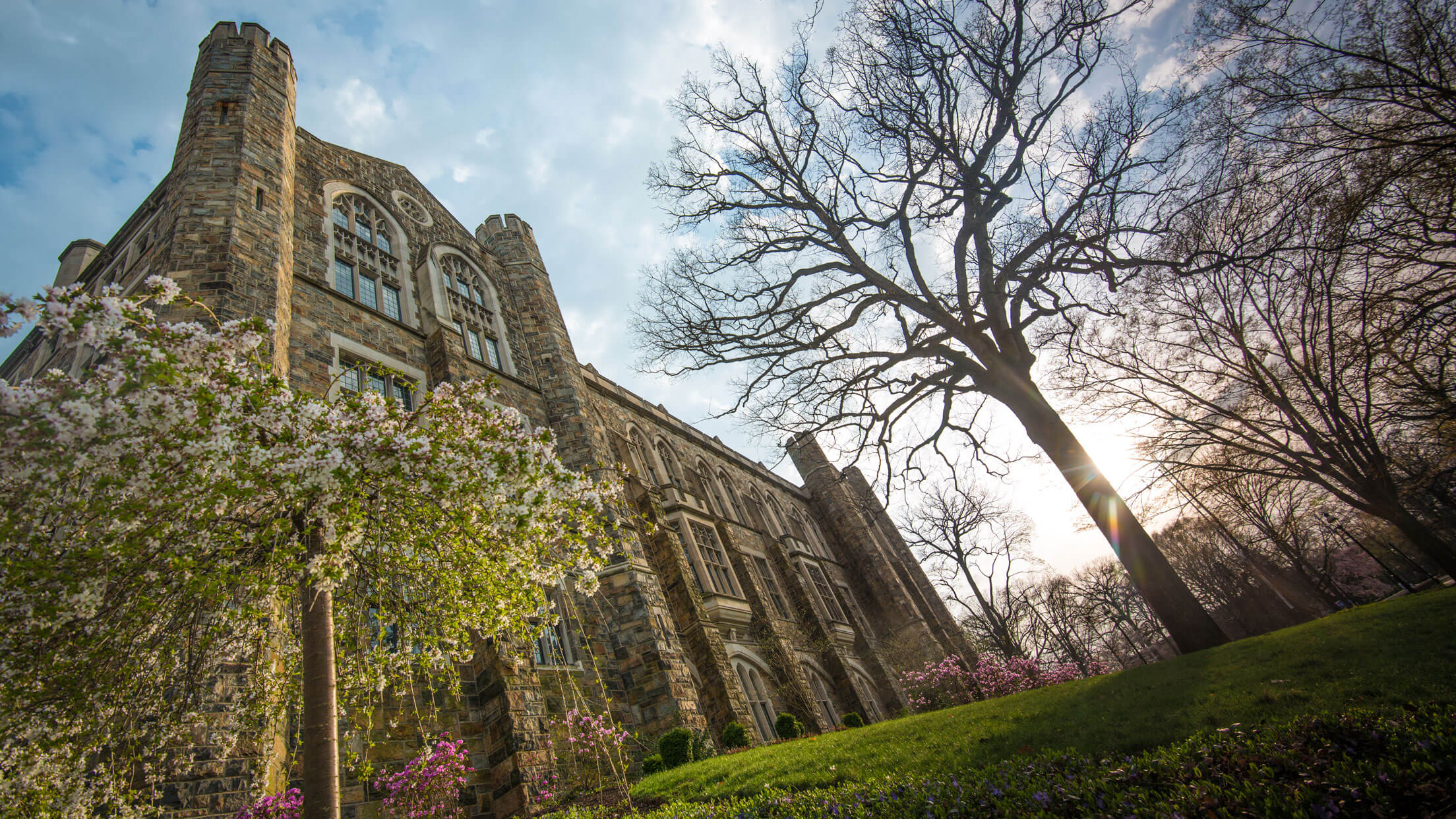 Linderman Library in the spring surrounded by blooming flowers