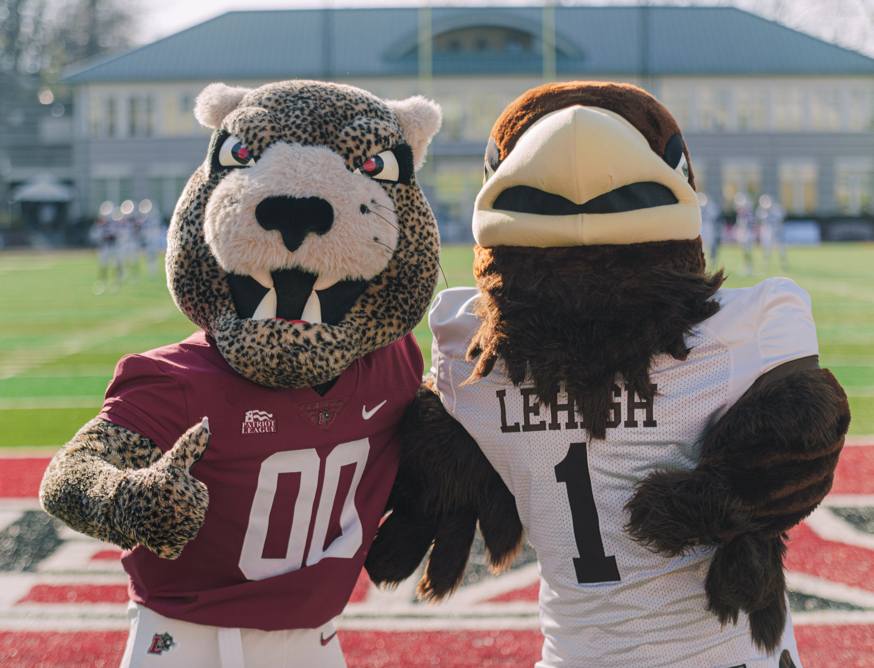 Team mascots from Lafayette College and Lehigh University in the endzone of Lafayette’s stadium.