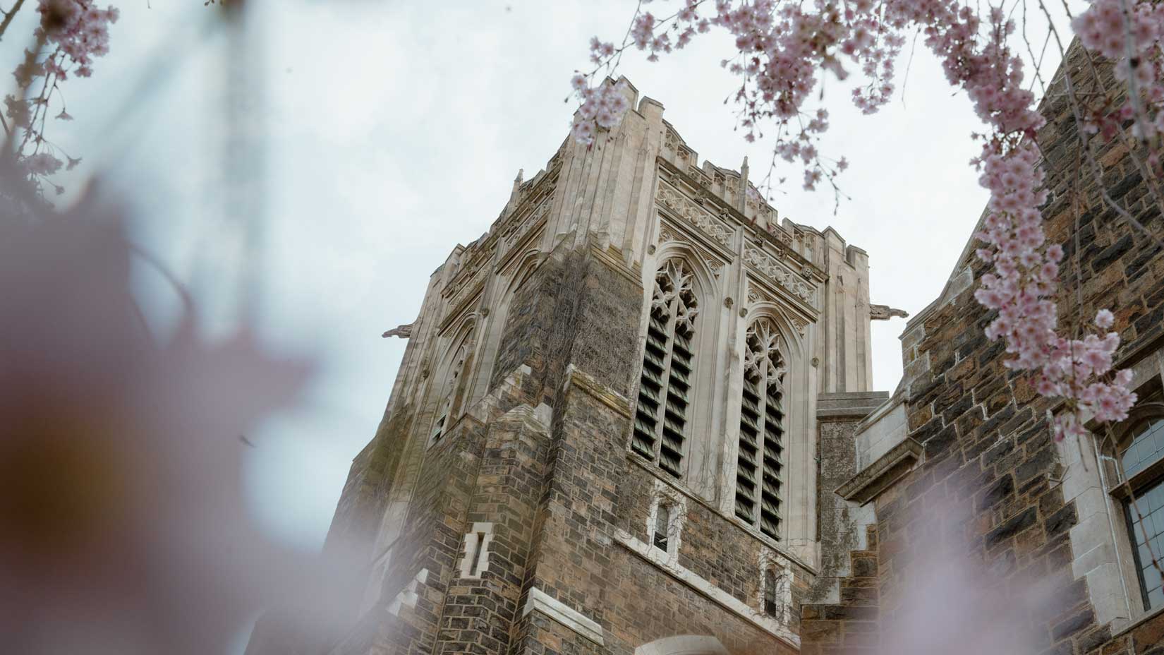 The stone tower of Alumni Memorial surrounded by blurry pink flowers.