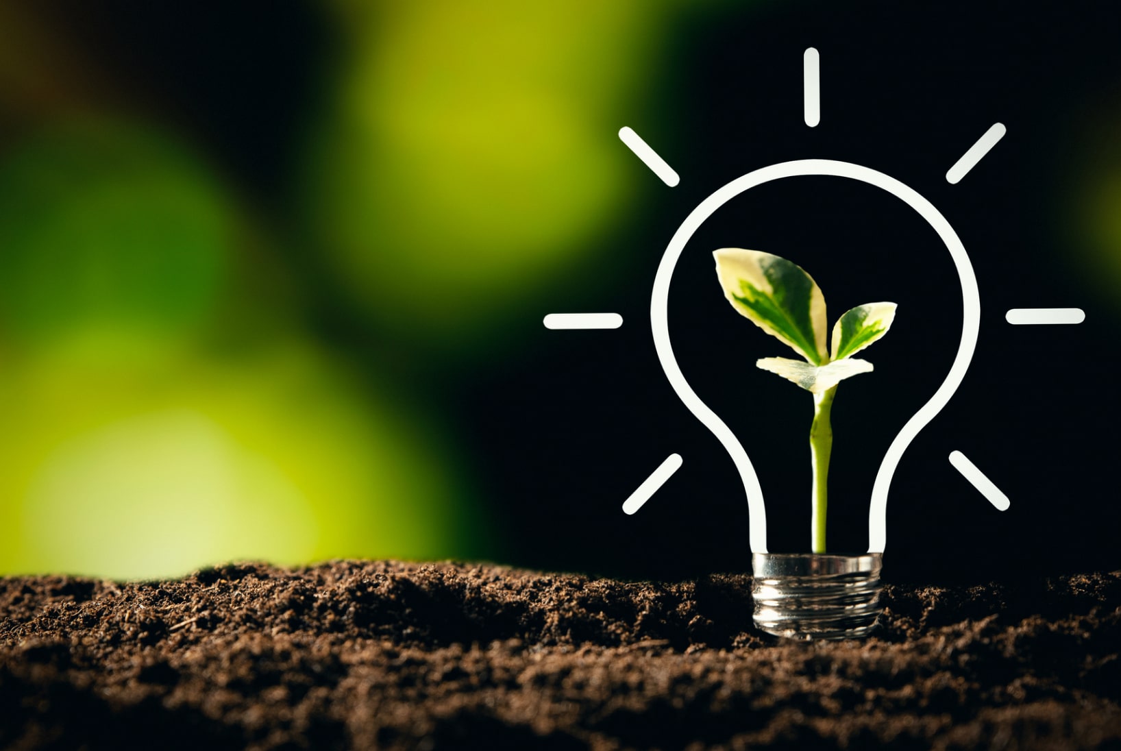 A sprout growing from the dirt surrounded by a digital illustration of a lightbulb.