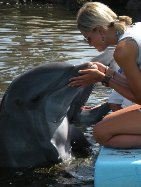 Bartlett kneeling on a dock holds the face of a dolphin in her hands as the dolphin waits for its next snack..