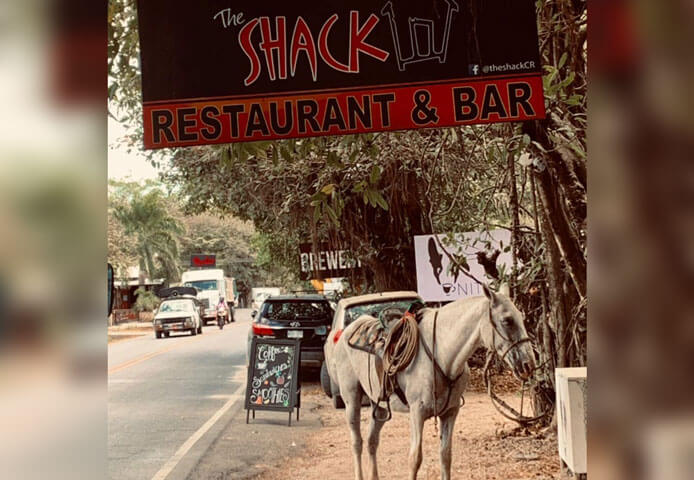 A donket standing by the road before the Shack