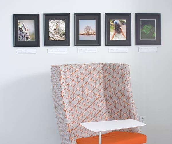 Five pieces of art hang above a study chair in the College of Health