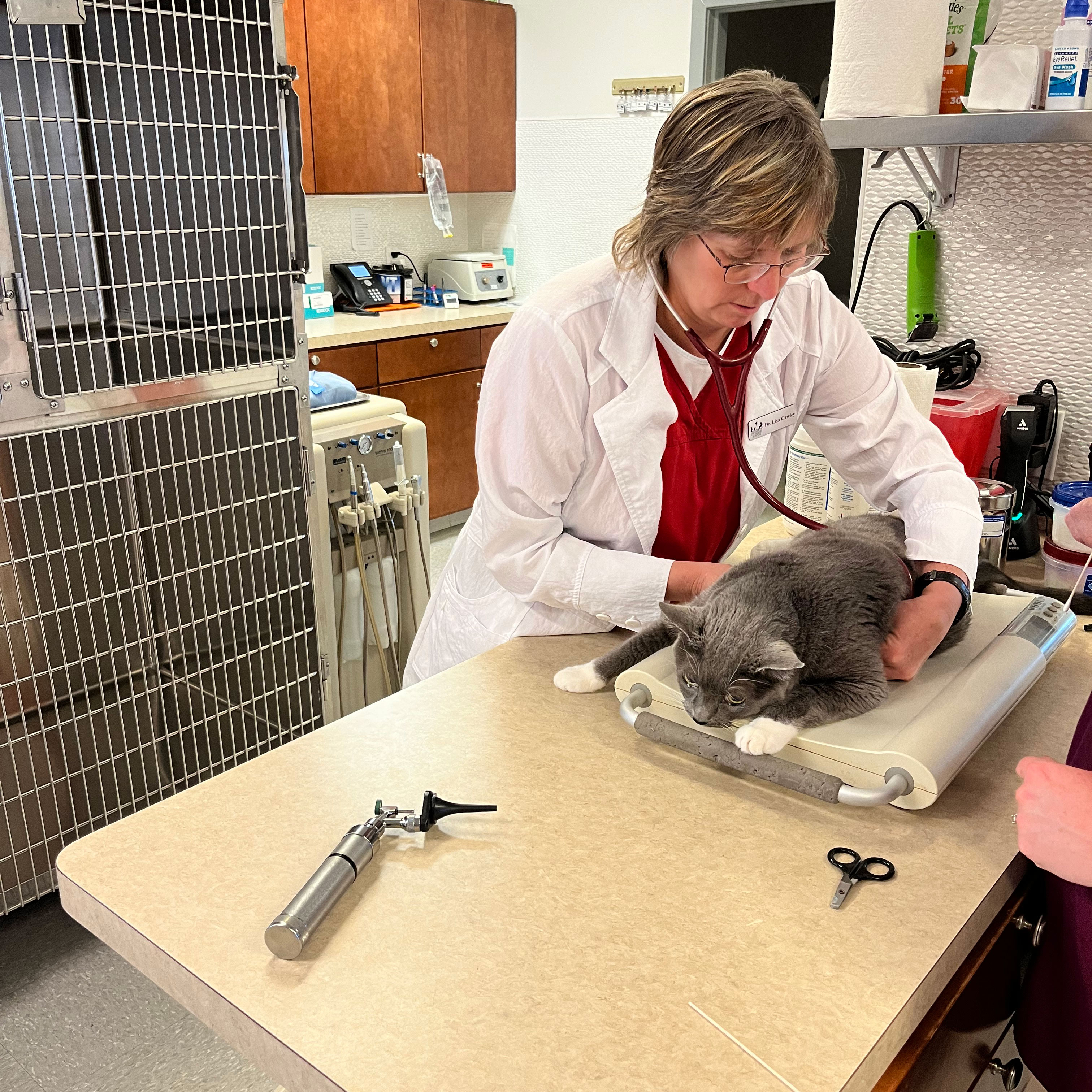 Lisa Cawley with cat