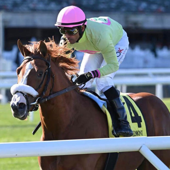 Doctor Jeff and his Jockey in the midst of a race