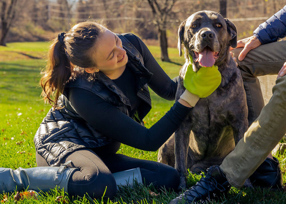 Olivia Abrams uses the TiCK MiTT on a German shorthaired pointer dog