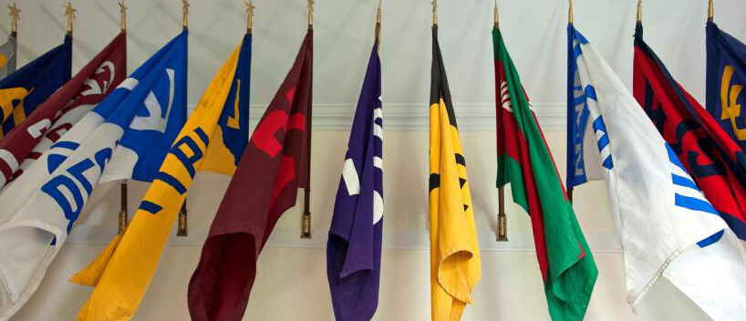 A group of different colored Alliance flags 