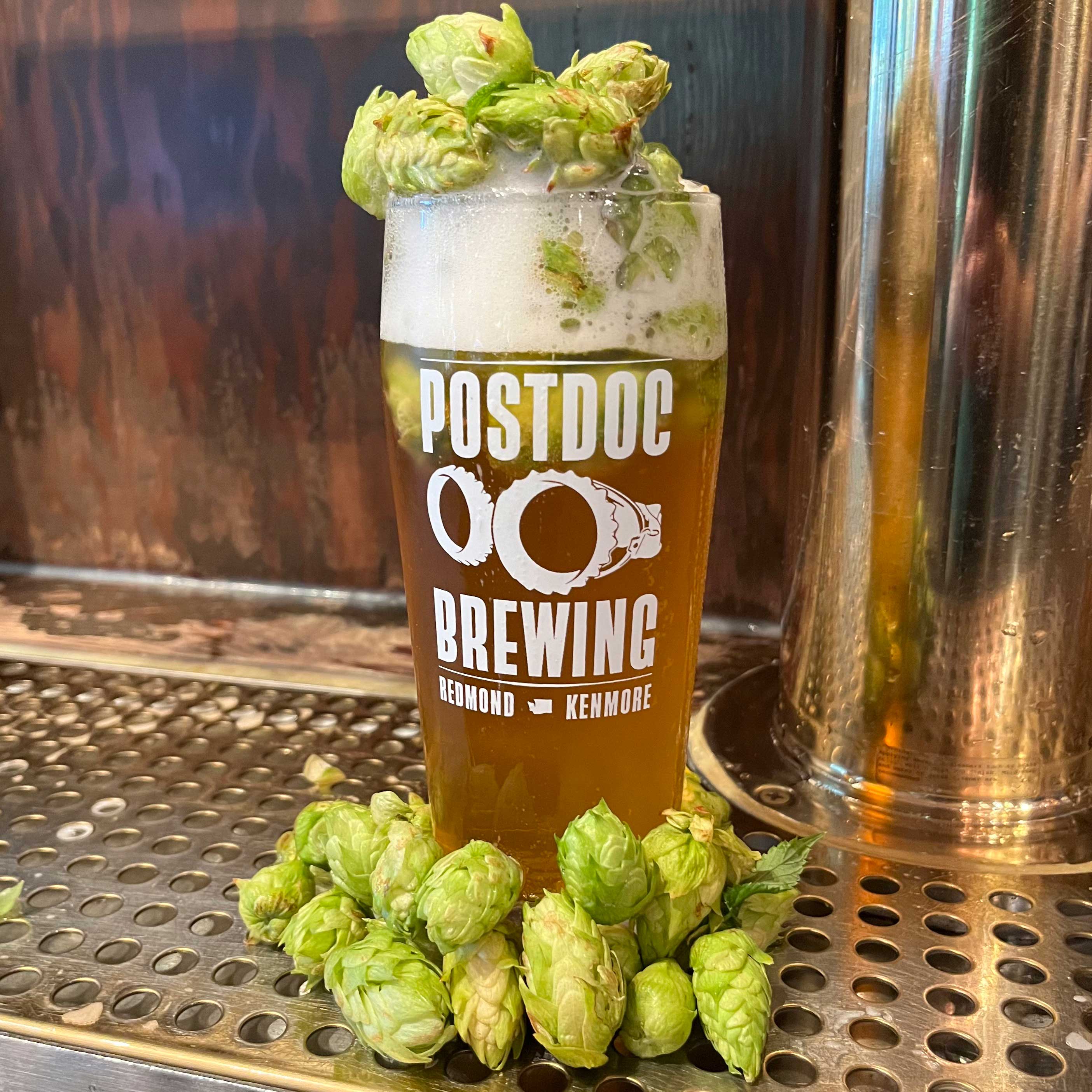 A tall glass of pale beer with a good amount of foam sits on the bar. Several hop stalks adorn the bottom and top of the glass.