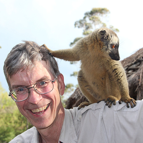 Ron Amey smiles while a lemur sits on his shoulder and touches Ron's head