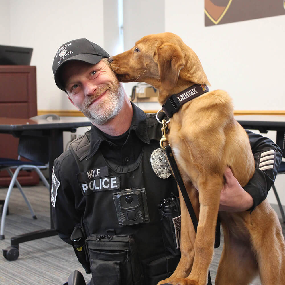 A young Labrador Retriever wearing a Lehigh collar licks the ear of Officer Nolf who is knelt down beside the dog.
