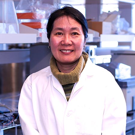 Xuanhong Cheng stands in her lab