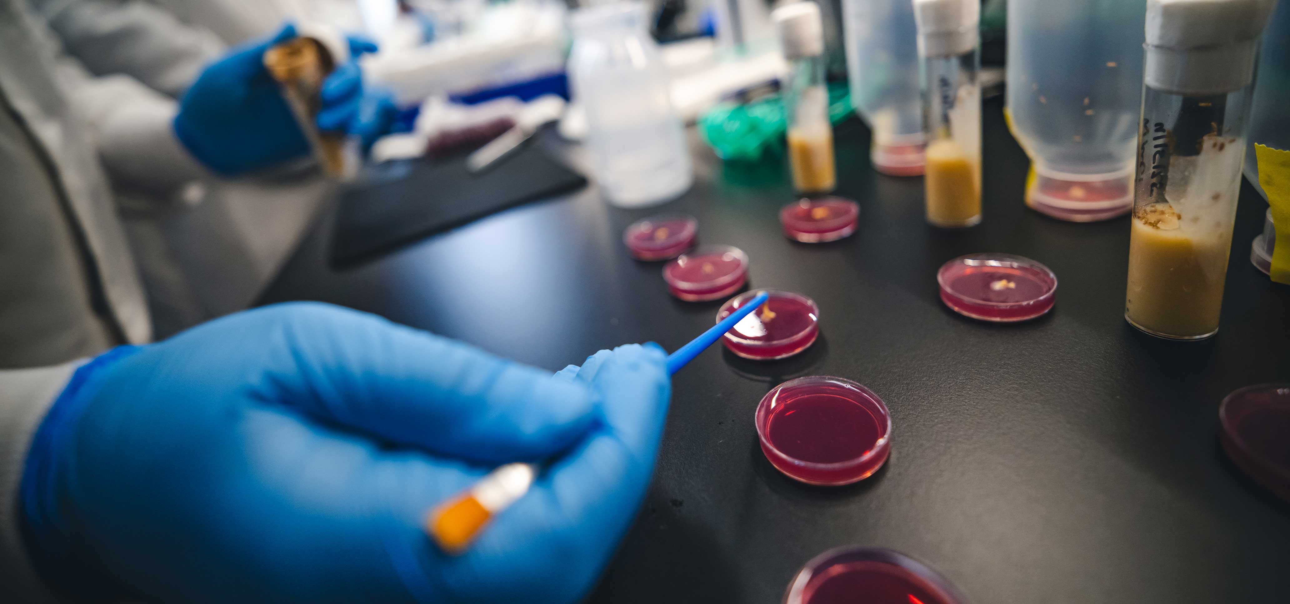 A gloved hand holding a pipette in a lab.
