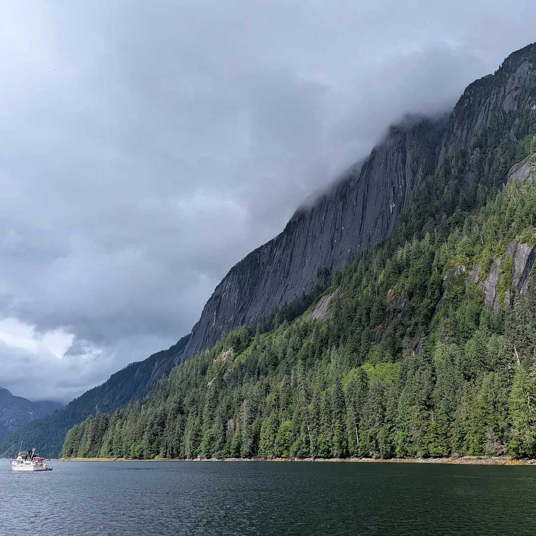A small white boat on clear waters bracketed by a tall, misty fjord in Punchbowl Cove.