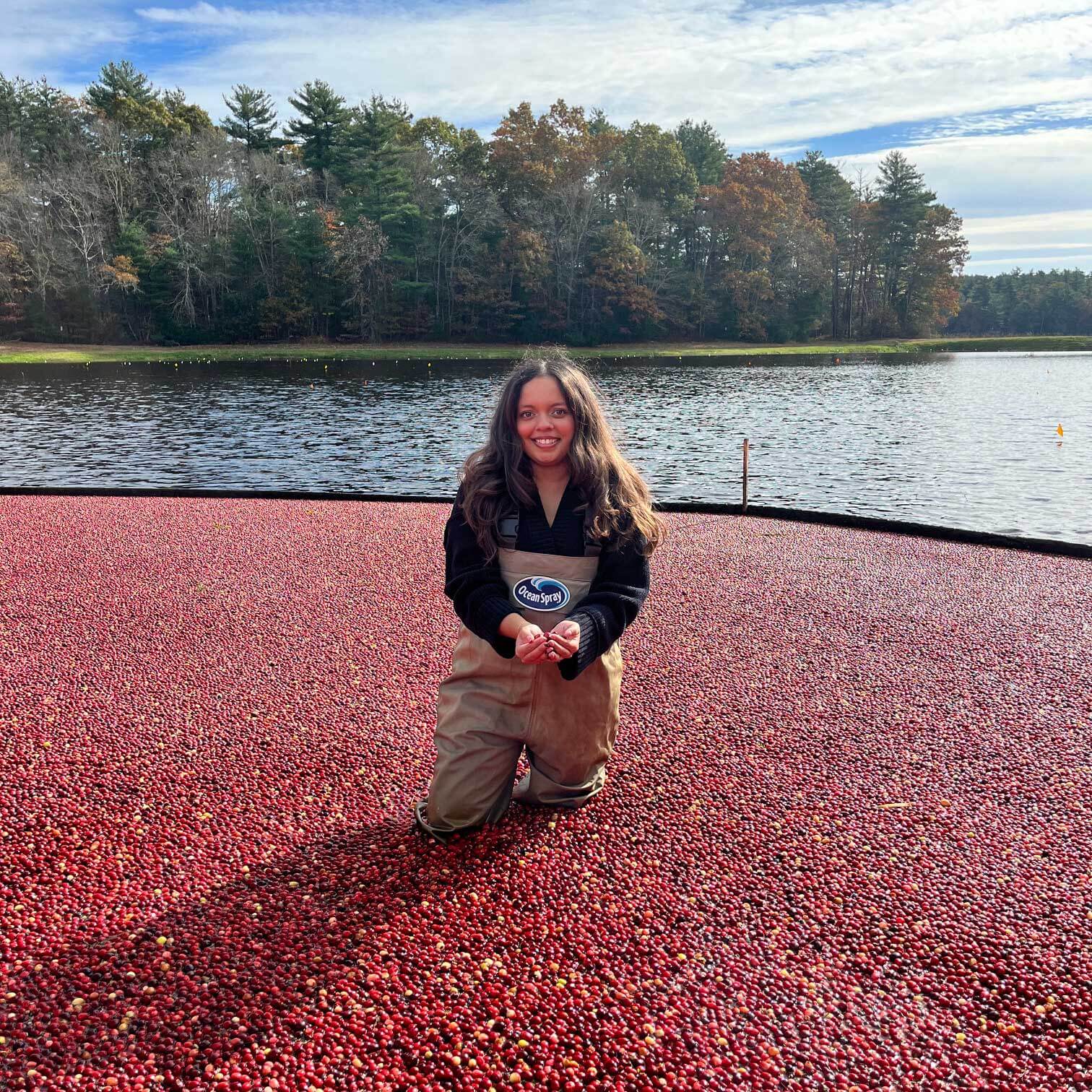 Neha stands in the Ocean Spray cranberry bog and smiles. She wears branded tan waders; she cups cranberries between her palms.