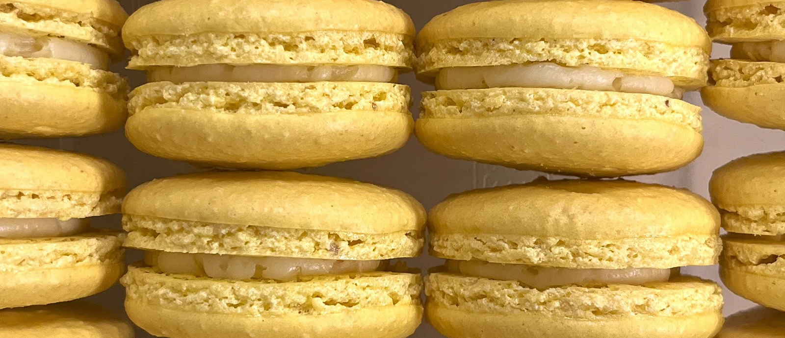 Soft, yellow macaroons from Pipit's Bakery