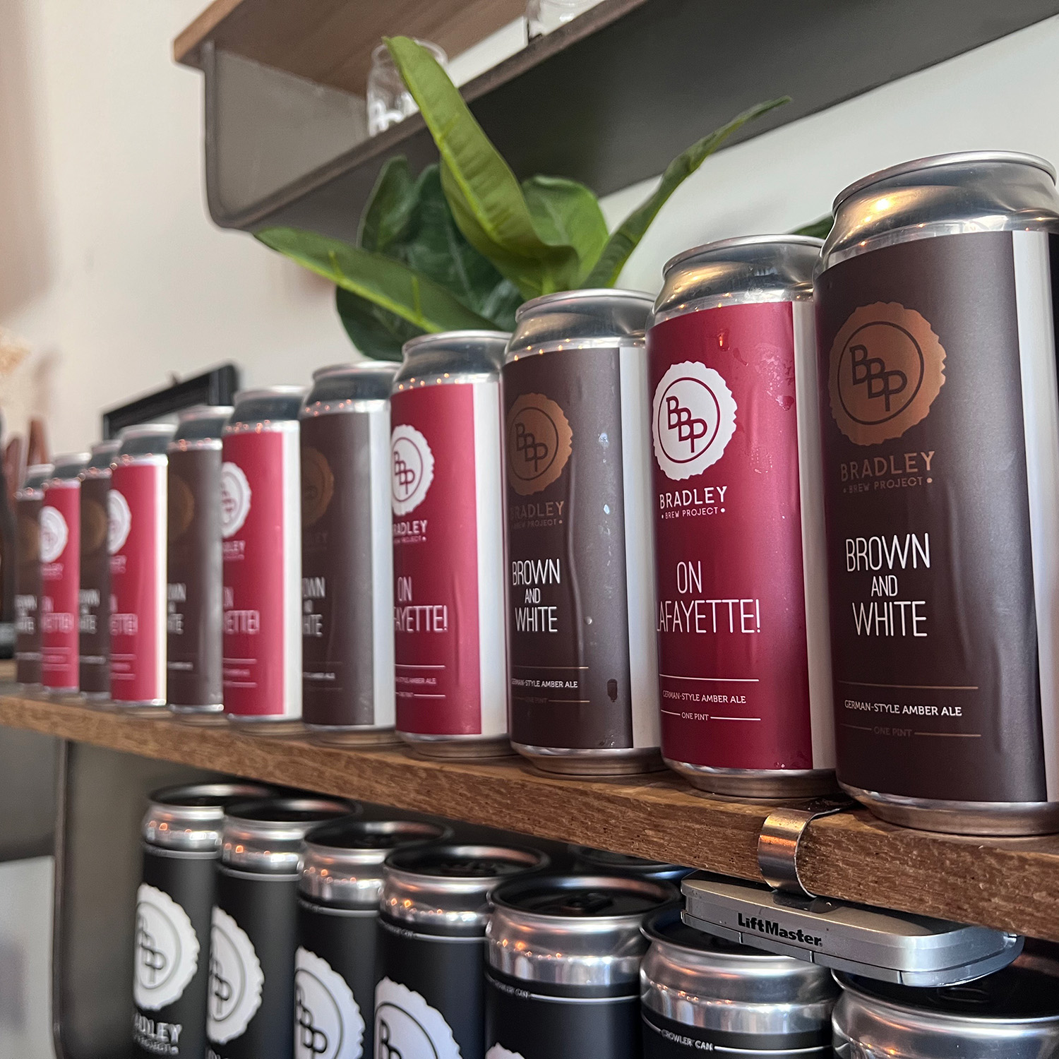 A line of beer cans sit on a shelf labeled as On Lafayette! and Brown and White