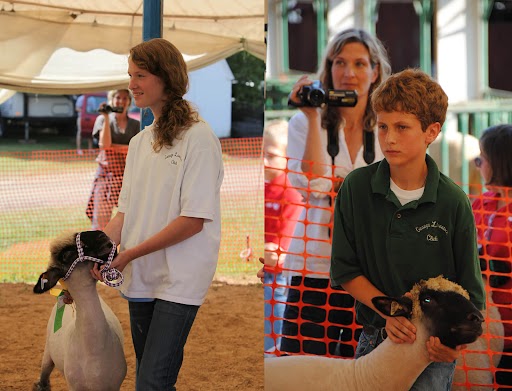 Two images collaged feature a sister in the left image presenting a lamb at a fair; the brother in the right image does the same.
