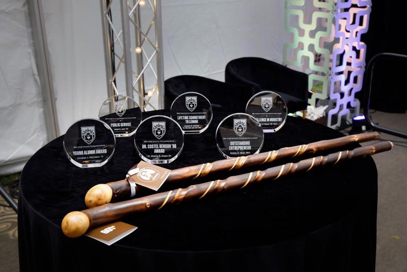 A collection of all of the Distinguished Alumni Awards resting on a velvet-covered table.