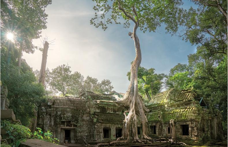 A building with a large tree in front
