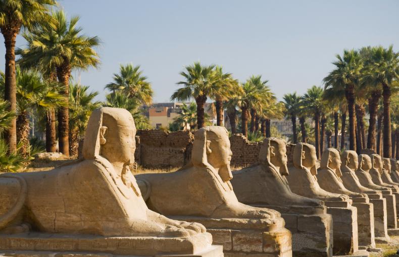 Sphinx statues lined up along a walkway and framed by palm trees