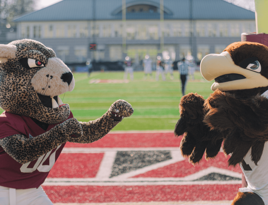 Team mascots from Lafayette College and Lehigh University in the endzone of Lafayette’s stadium.