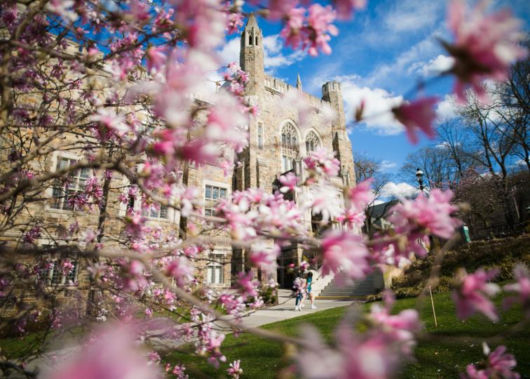 Linderman Library in the spring surrounded by cherry blossoms