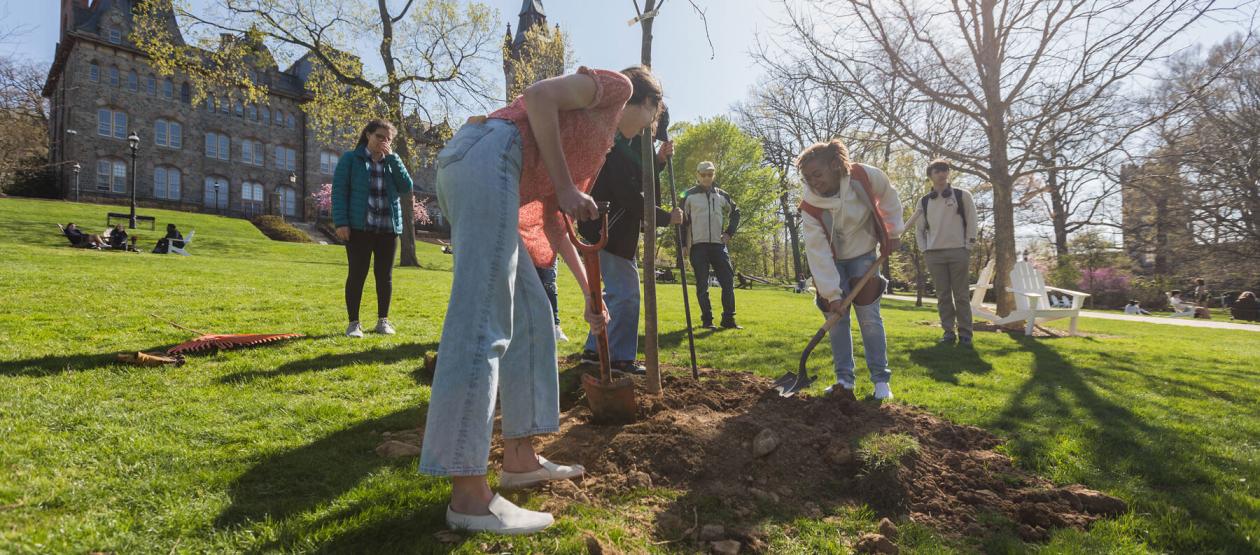 Students digging holes to plant trees on the Clayton university Center lawn