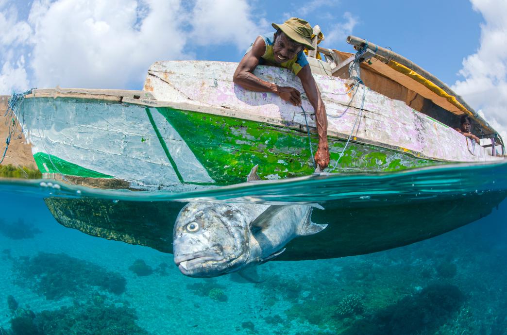 A man in a fishing boat leaning out to grasp a large fish in the ocean.