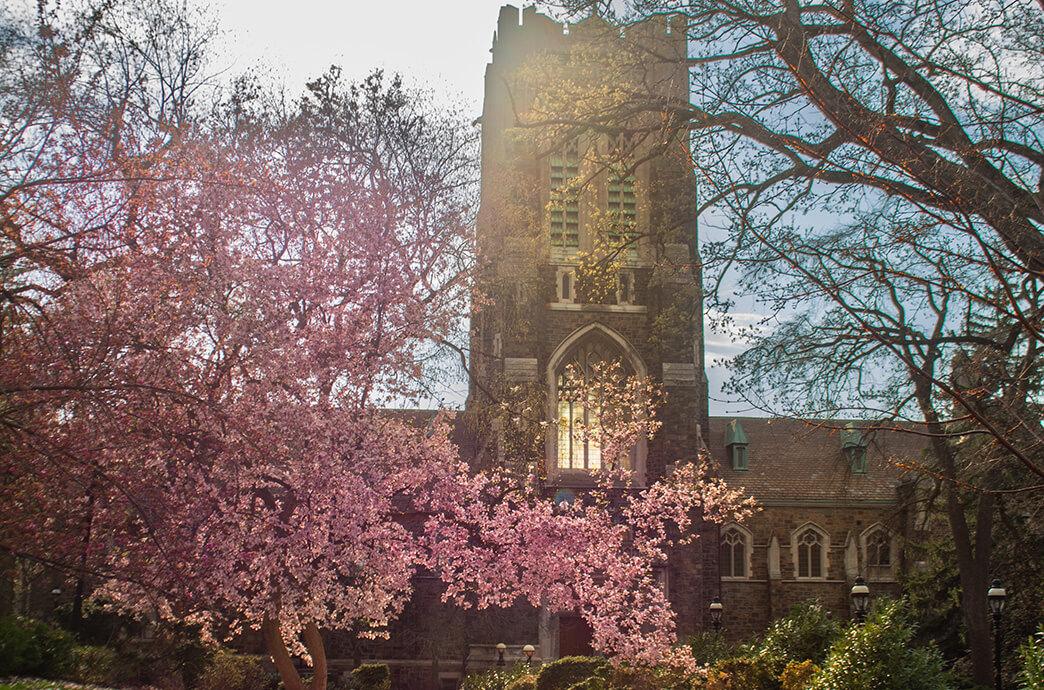 Stone building with stained glass windows surrounded by blooming tree branches and sunlight.