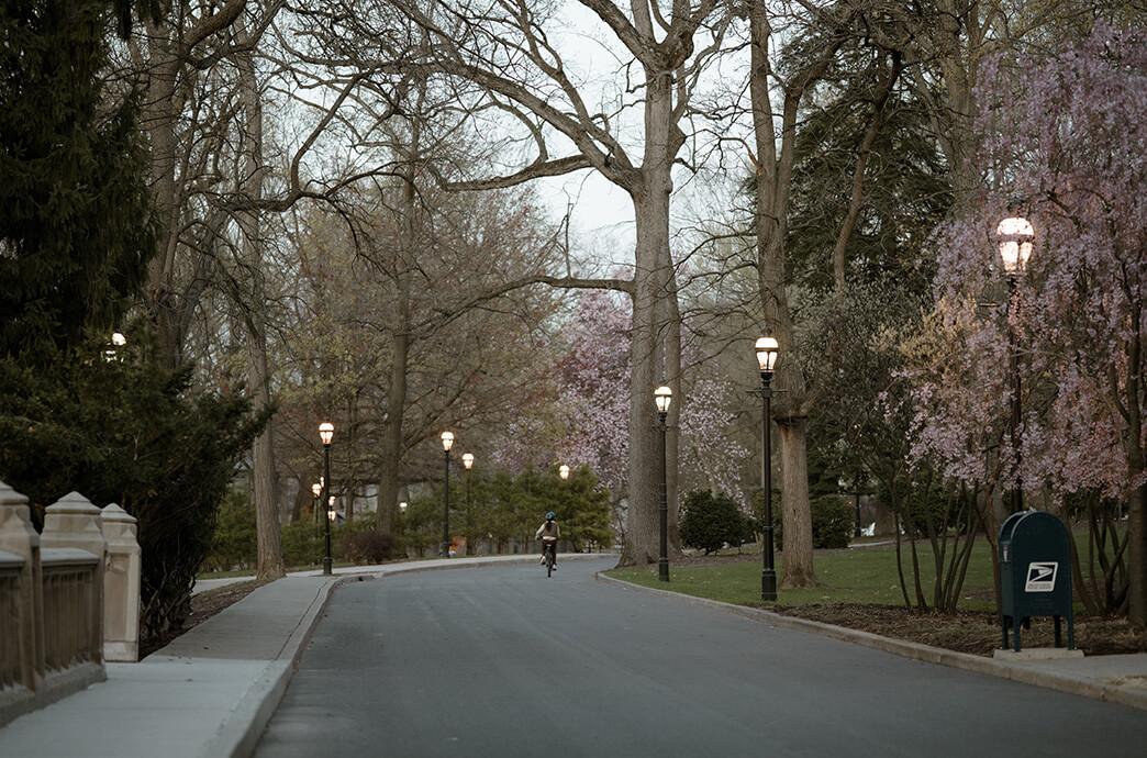 A person on a bike rides down a long paved road bordered with lamp posts on a spring evening.