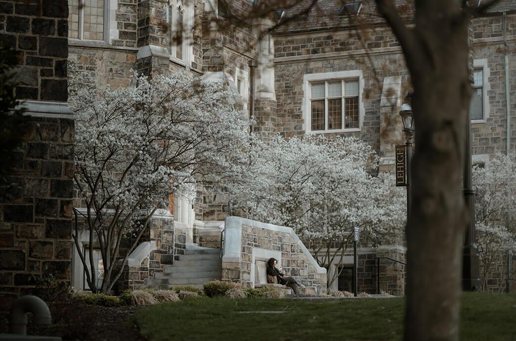 A person sits on stone steps surrounded by blooming trees, with a stone building in the background.