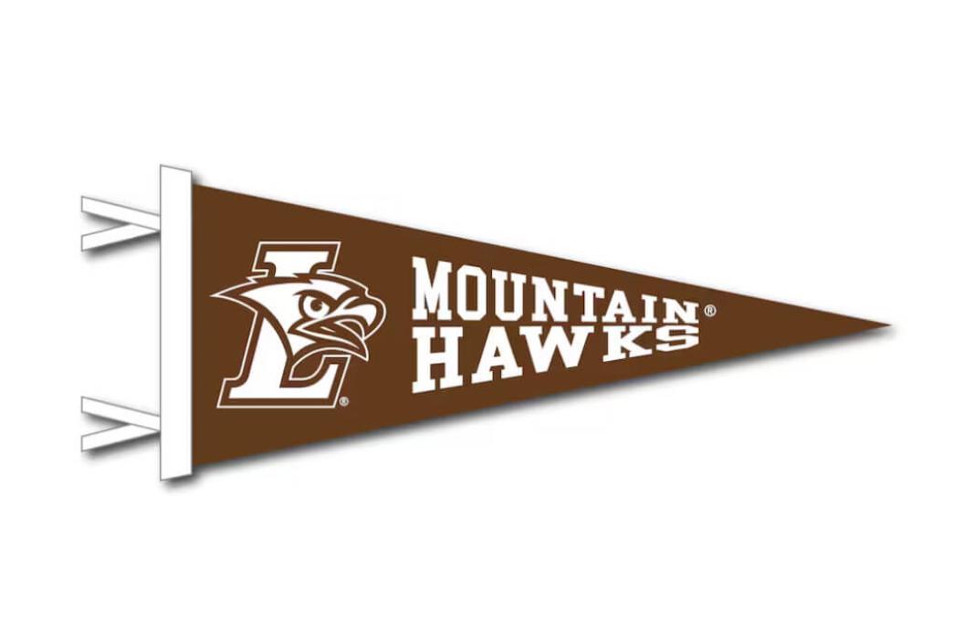 Brown, felt pennant with the L Hawk logo and the words "Mountain Hawk"