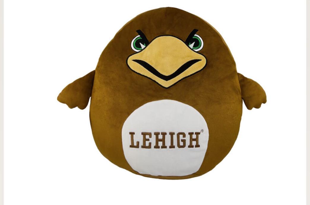 A rotund brown mountainhawk plush with little wings on the sides of his round belly and “Lehigh” written on the front.