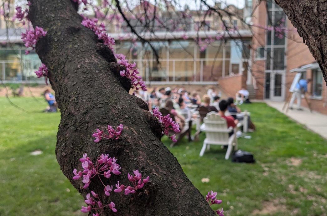 Close up shot of an Eastern Redbud tree on a sunny day. In the background, students take a class outside. 