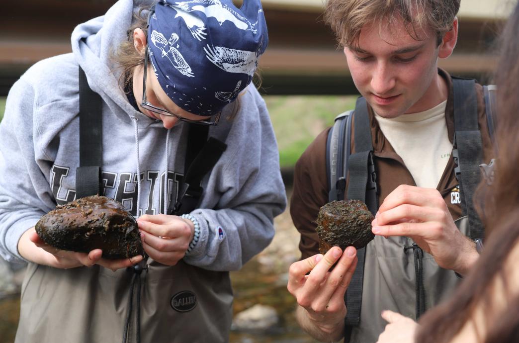 Two students hold up and observe wet rocks covered with macro-invertebrates. They both wear waders.