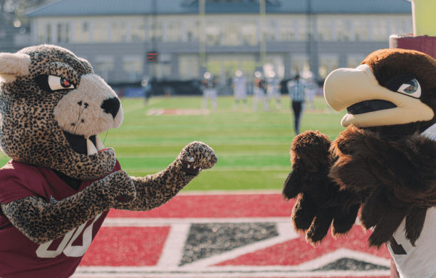 Team mascots from Lafayette College and Lehigh University in the endzone of Lafayette’s stadium.