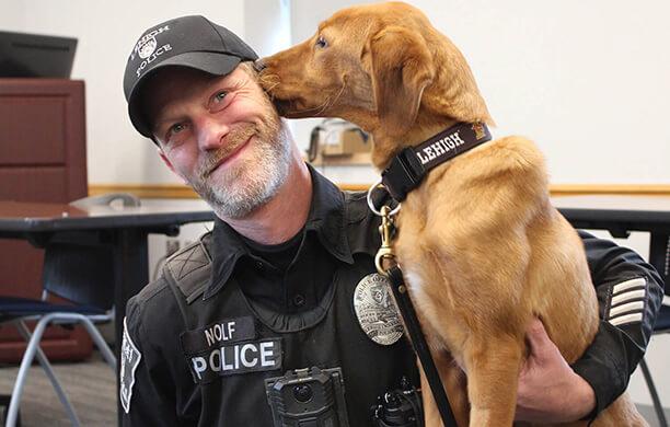 A young Labrador Retriever wearing a Lehigh collar licks the ear of Officer Nolf who is knelt down beside the dog.
