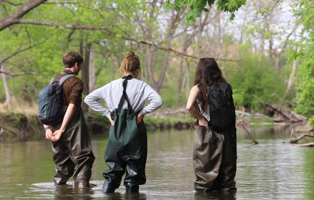 Three students wear waders and stand in a creek with water up to their calves. They look out toward the trees.