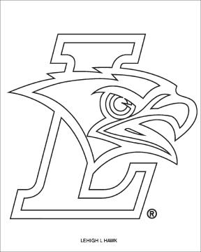 Hawk coloring page preview