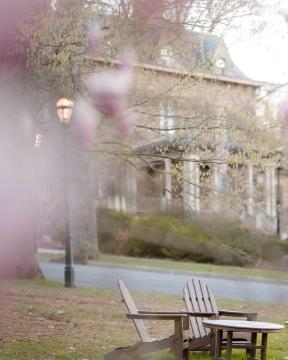 Brown lawn chairs in focus surrounded by blooming pink flowers and stone architecture.