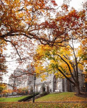 A front entrace of the Clayton UC, the tower obscured by leaves.