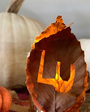 A brown leaf with the letters "L" and "U" cut out.