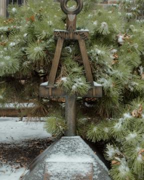 Statue backed by a snowy green bush. 