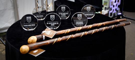 A collection of all of the Distinguished Alumni Awards resting on a velvet-covered table.