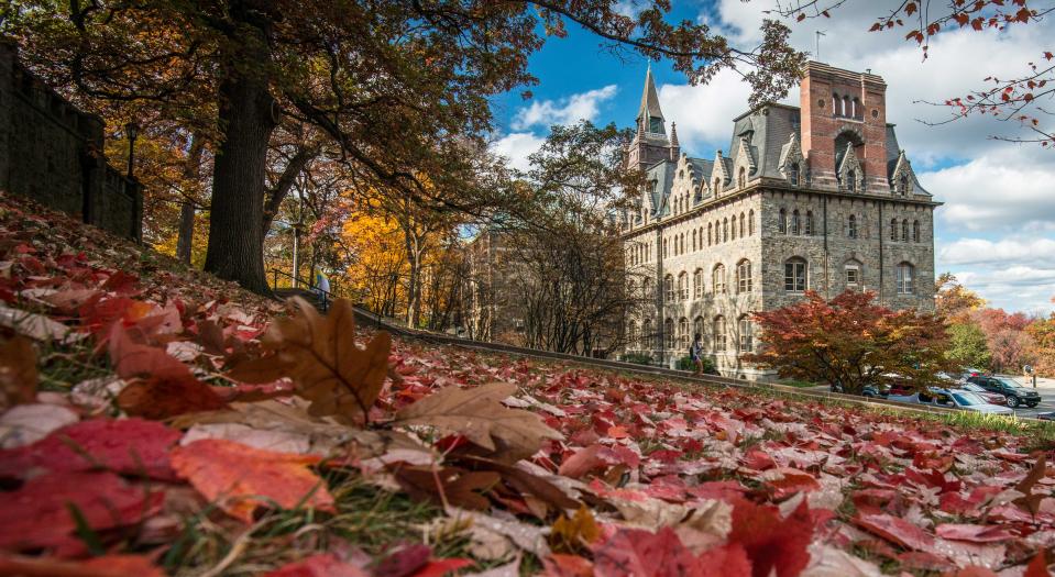 A building surrounded by blue sky and red fallen leaves.